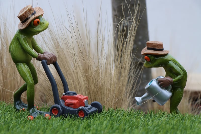 Pruning & Trimming